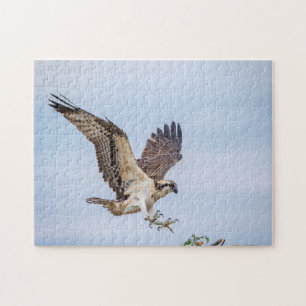 Quebra-cabeça Aterrissagem de Osprey no ninho