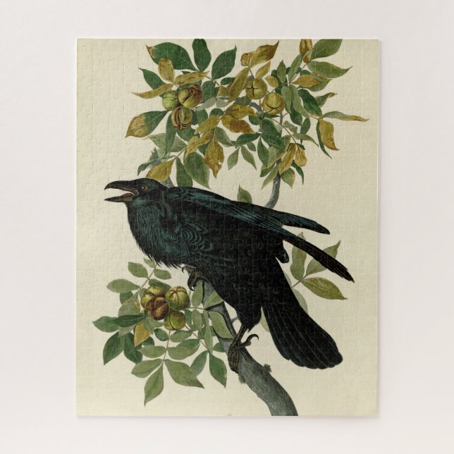Quebra-cabeça Audubon Raven Bird Classic Trabalho de arte (Vertical)