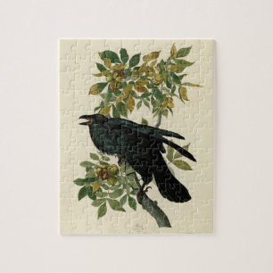 Quebra-cabeça Audubon Raven Bird Classic Trabalho de arte