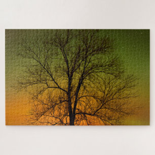 Quebra-cabeça Aurora Boreal & Árvore Cottonwood