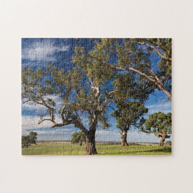 Quebra-cabeça Austrália, Barossa Valley, Mount Pleasant (Horizontal)