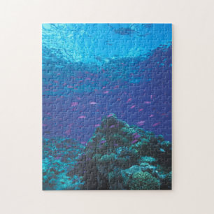 Quebra-cabeça Austrália, Grande Barreira de Coral. Cardume Roxo