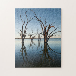 Quebra-cabeça Austrália, Vale do Rio Murray, Barmera, Lago