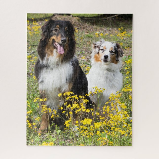Quebra-cabeça Australian Shepherd Puzzle (Vertical)