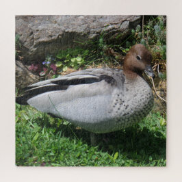Quebra-cabeça Australian Wood Duck in Tranquil Garden