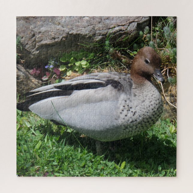 Quebra-cabeça Australian Wood Duck in Tranquil Garden (Vertical)