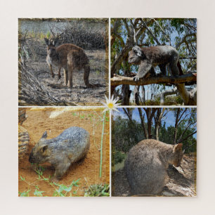 Quebra-cabeça australiano Quokka, Kangaroo, Koala, Wombat,