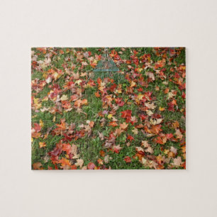 Quebra-cabeça Autumn Leaves e Rake