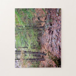 Quebra-cabeça Autumn on Blue Hills Reservation Red Dot Trail