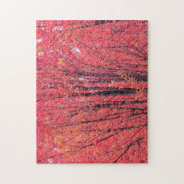 Quebra-cabeça Autumn Red - Queda Trees