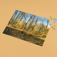 Autumn Serenity: Reflexões Tranquilo por Pond