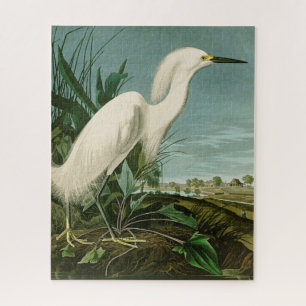 Quebra-cabeça Ave-de-Egrete Branca do Herão de Neve Audubon