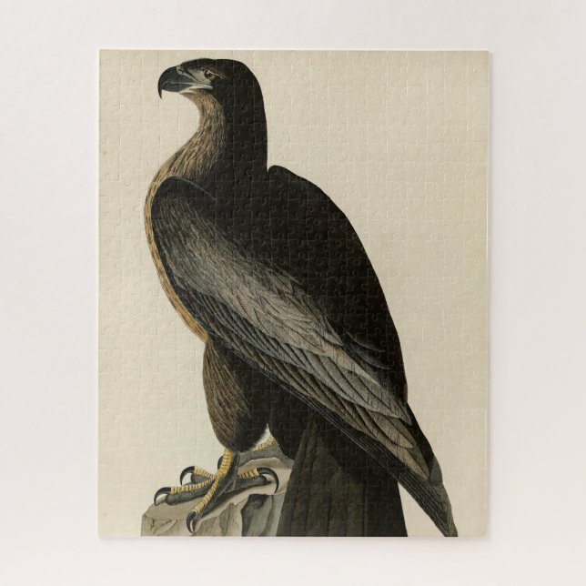 Quebra-cabeça Ave de Washington das Aves da América de Audubon (Vertical)