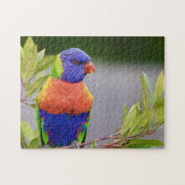 Quebra-cabeça Ave Lorikeet Empoleirada Papagaio Animal Penas