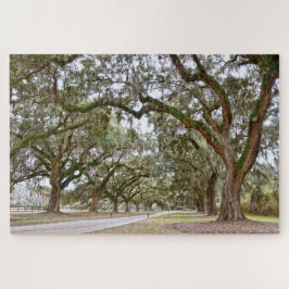 Quebra-cabeça Avenida dos Oaks, Carolina do Sul