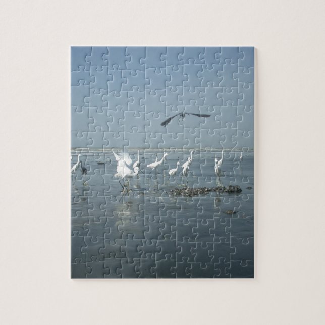 Quebra-cabeça Aves brancas alimentam hakuna matata.JPG (Vertical)