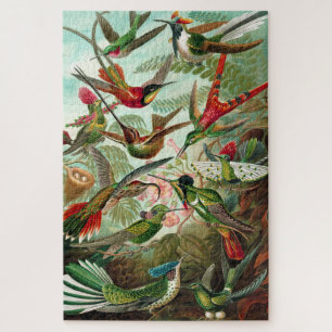 Quebra-cabeça Aves-Cama - Ernst Haeckel