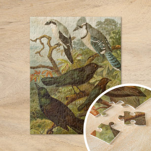 Quebra-cabeça Aves da América do Norte Gustav Mü tzel