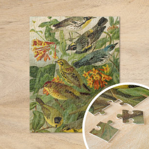 Quebra-cabeça Aves da América do Norte   Gustav Mü tzel