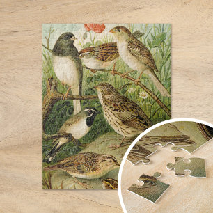 Quebra-cabeça Aves da América do Norte   Gustav Mü tzel