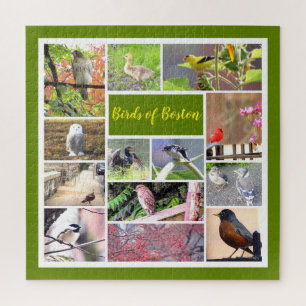 Quebra-cabeça Aves da Colagem de Fotos de Boston