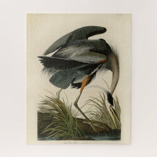 Quebra-cabeça Aves de Excelente Azul-Héron Audubon