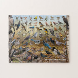 Quebra-cabeça Aves de Montana
