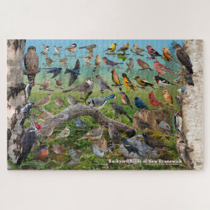 Quebra-cabeça Aves de New Brunswick
