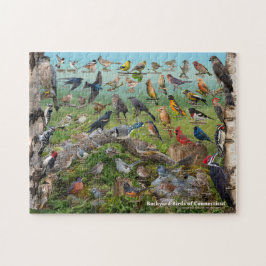 Quebra-cabeça Aves do quintal de Connecticut