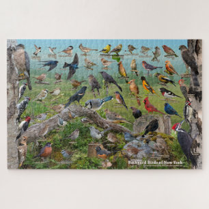 Quebra-cabeça Aves do quintal de Nova York
