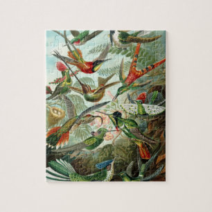 Quebra-cabeça Aves-humanos por Ernst Haeckel, Árvores de Aves Vi