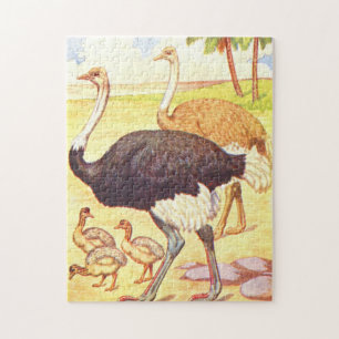 Quebra-cabeça Avestruz da ilustração de livro de crianças do