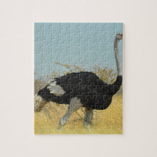 Quebra-cabeça Avestruz sai para uma corrida