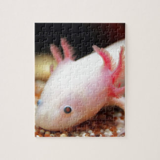 Quebra-cabeça Axolotl Weißling