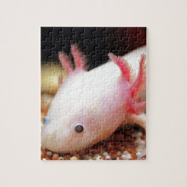 Quebra-cabeça Axolotl Weißling (Vertical)