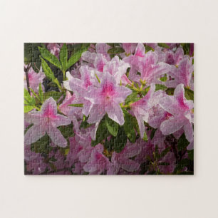 Quebra-cabeça Azalea Bush, flores de primavera rosa