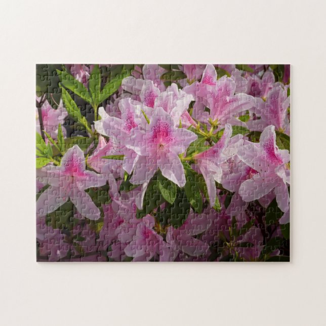 Quebra-cabeça Azalea Bush Primavera Floral rosa (Horizontal)