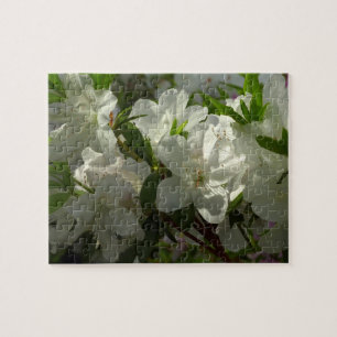 Quebra-cabeça Azaleas brancas e solares lindas flores de primave