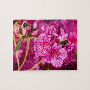 Quebra-cabeça Azaleas cor-de-rosa