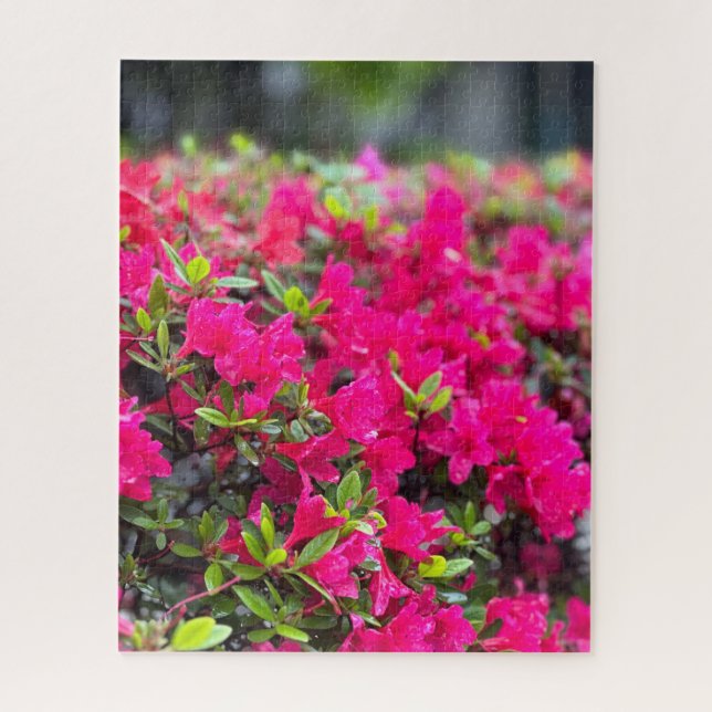 Quebra-cabeça Azaléia Rosa Quente, Seul (Vertical)