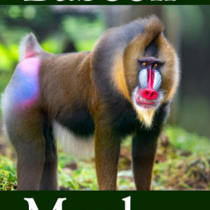 Quebra-cabeça Baboon Monkey