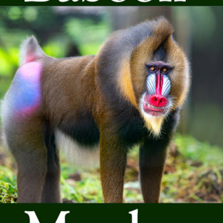 Quebra-cabeça Baboon Monkey