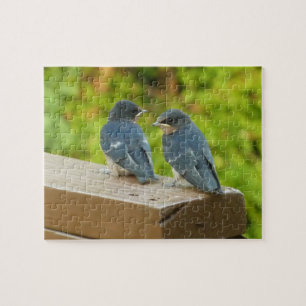 Quebra-cabeça Baby Barn Swallow Nature Bird Fotografia
