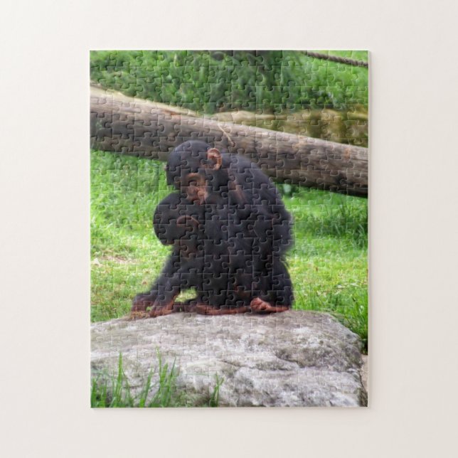 Quebra-cabeça Baby Chimp Puzzle (Vertical)