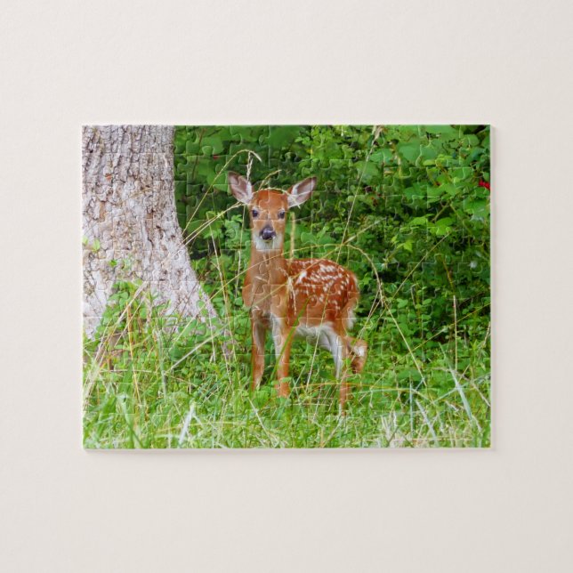 Quebra-cabeça Baby Deer in the Woods Nature Fotografia (Horizontal)