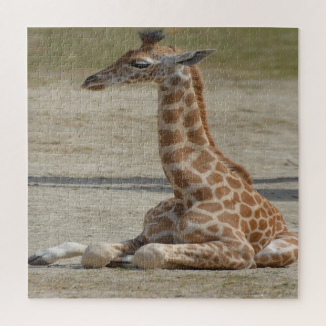 Quebra-cabeça Baby Giraffe (Vertical)
