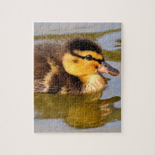 Quebra-cabeça Baby Mallard Duck Nadando (Vertical)