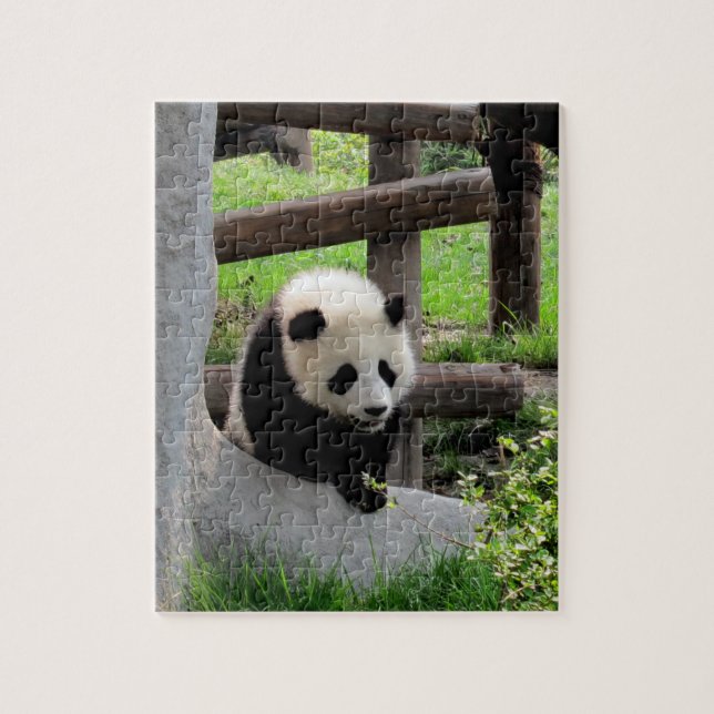 Quebra-cabeça Baby Panda (Vertical)