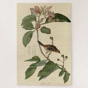 Quebra-cabeça Bachman's Finch (Sparrow) Audubon Birds of America