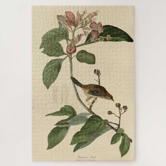 Quebra-cabeça Bachman's Finch (Sparrow) Audubon Birds of America (Vertical)